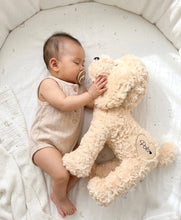 Load image into Gallery viewer, Personalized Plush Puppy – 50cm- Beige *Pre order - BEBIMINE LLC