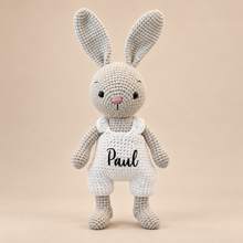 Load image into Gallery viewer, Personalised handmade crochet bunny soft toy with name on white pants
